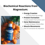 Liquid Magnesium Dietary Supplement with Chloride, Sulfate & Boron | Muscle Contraction, Bone Health | Gluten Free & Certified Vegan | - Earth's Pure 