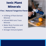 Liquid Ionic Plant Supplement | Immune & Cardiovascular Health, Metabolism Support, Cellular Energy Booster with Essential Minerals Minerals, Gluten Free | - Earth's Pure 