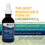 Chlorophyll - Stimulates Immune Function - Antioxidant - Helps Deal with Fungus - Detox - Reduce Bad Body Odors - Increase Energy - Stamina - Antioxidant - 2 oz - Earth's Pure 