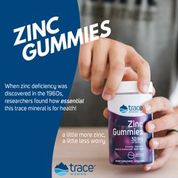 Zinc Gummies, 60 CT - Earth's Pure 
